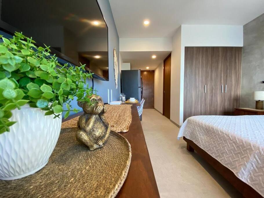 Estudio Nuevo En El Corazon De Apartamento Playa del Carmen